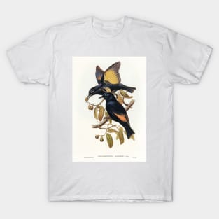 Rawnsley's Bower-bird T-Shirt